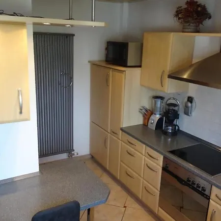 Ferienwohnung In Erfenschlag Mit Grill Und Terrasse ケムニッツ