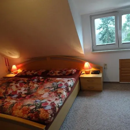 アパート Ferienwohnung In Erfenschlag Mit Grill Und Terrasse ケムニッツ