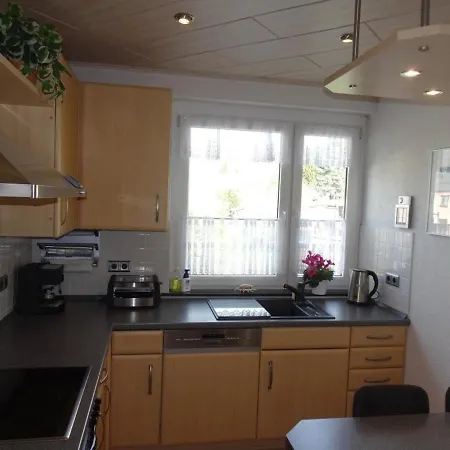 Ferienwohnung In Erfenschlag Mit Grill Und Terrasse アパート